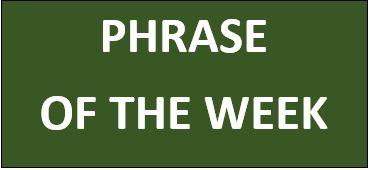 PHRASE OF THE WEEK: ‘from scratch’