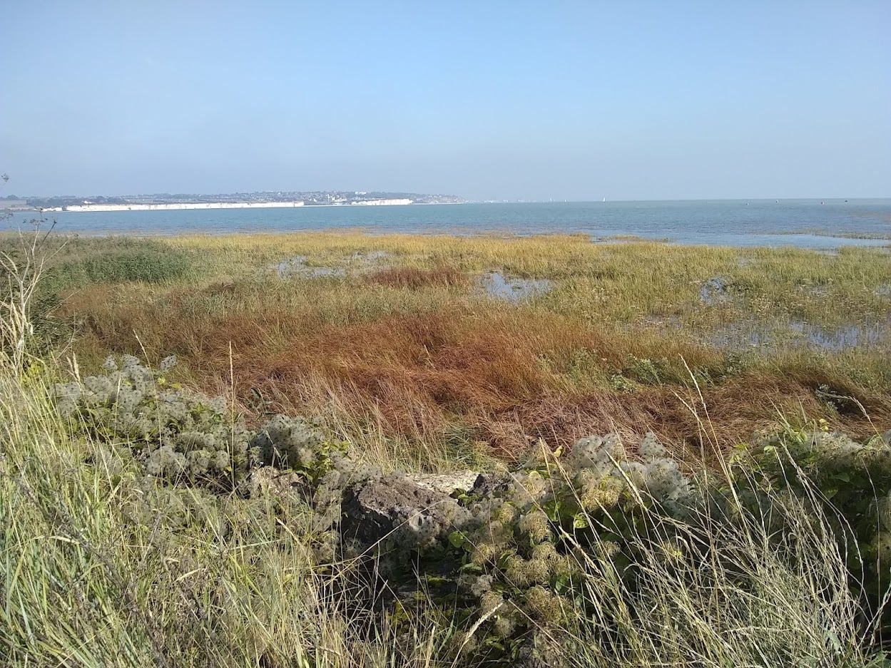 PEGWELL BAY NATURE RESERVE